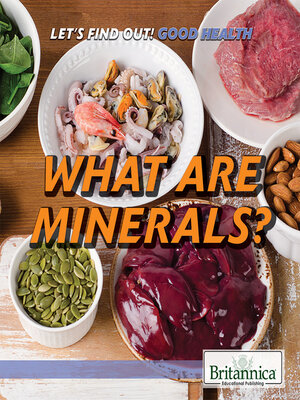 cover image of What Are Minerals?